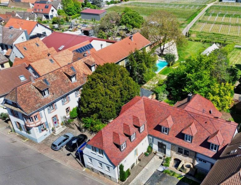 Villa Delange_Außenbereich_Pool_Pfalz (2)