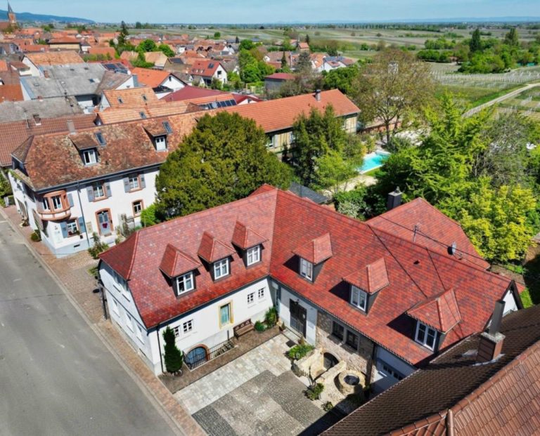 Villa Delange_Außenbereich_Pool_Pfalz (6)
